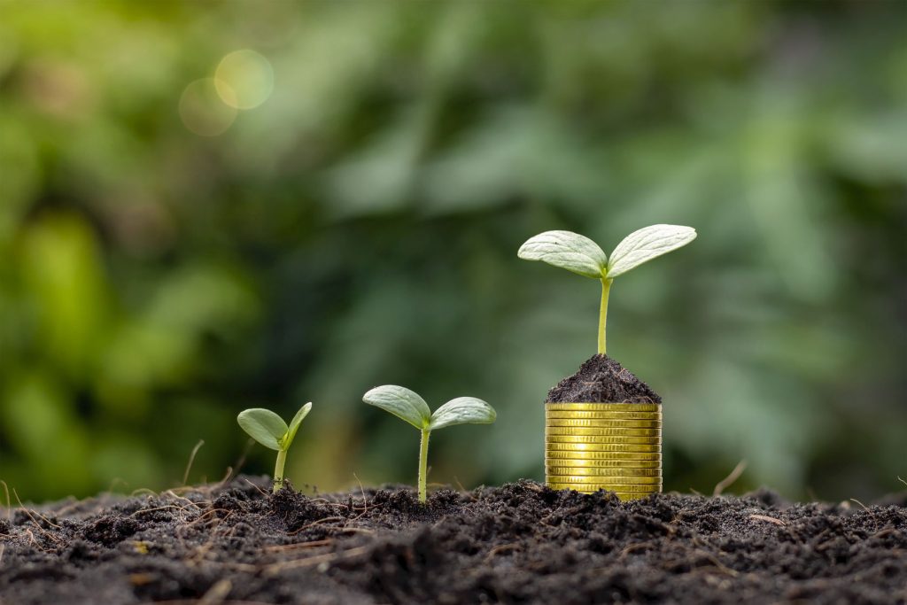 La rénovation énergétique : quelles sont les aides ?