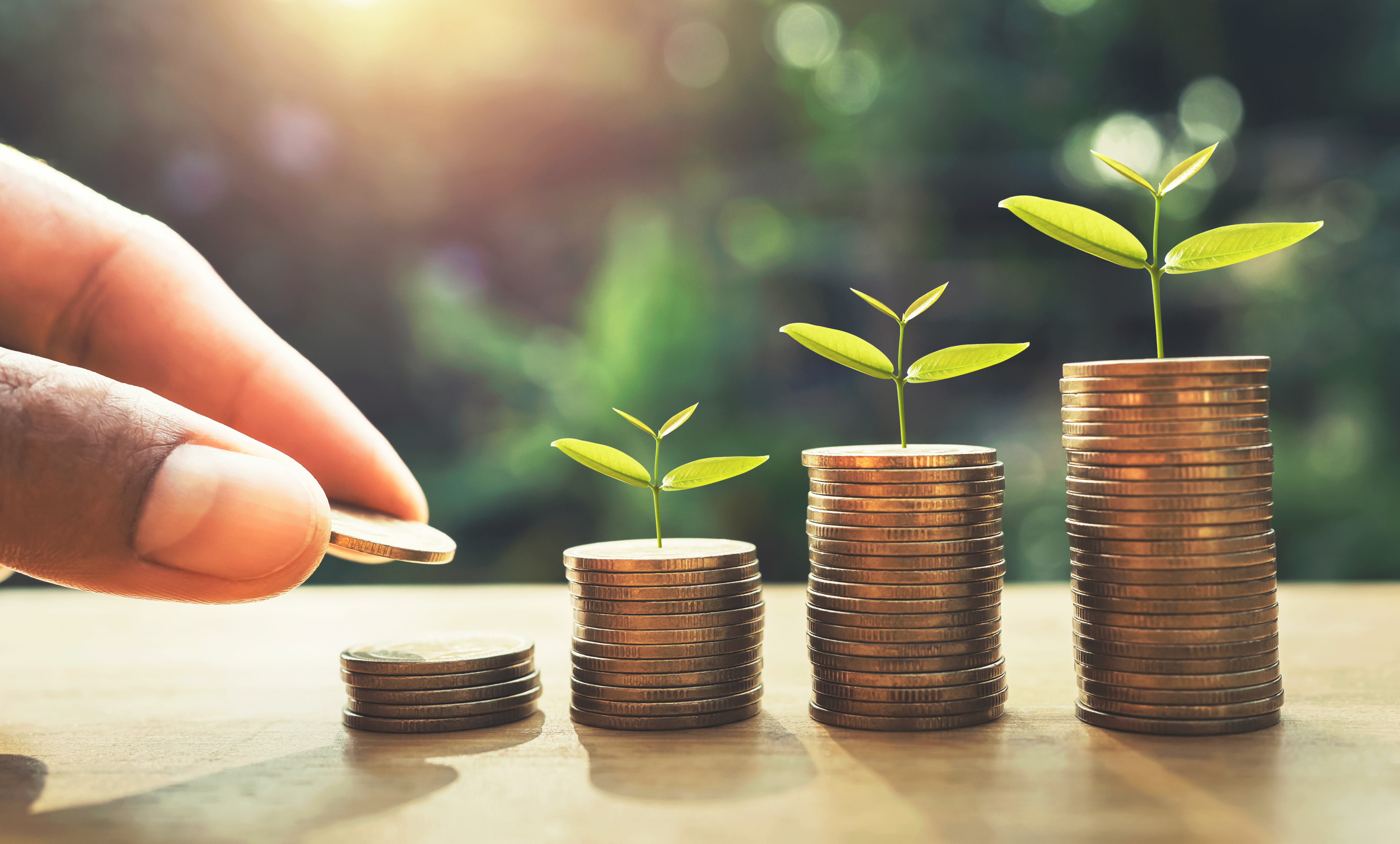 Formation aides financières à la rénovation énergétique des bâtiments