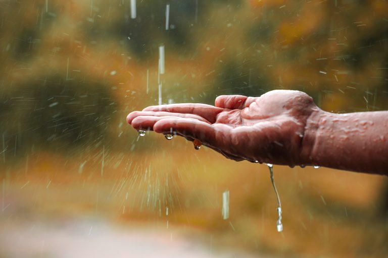 Récupération de l'eau de pluie à l'extérieur des logements grâce au label Qualipluie