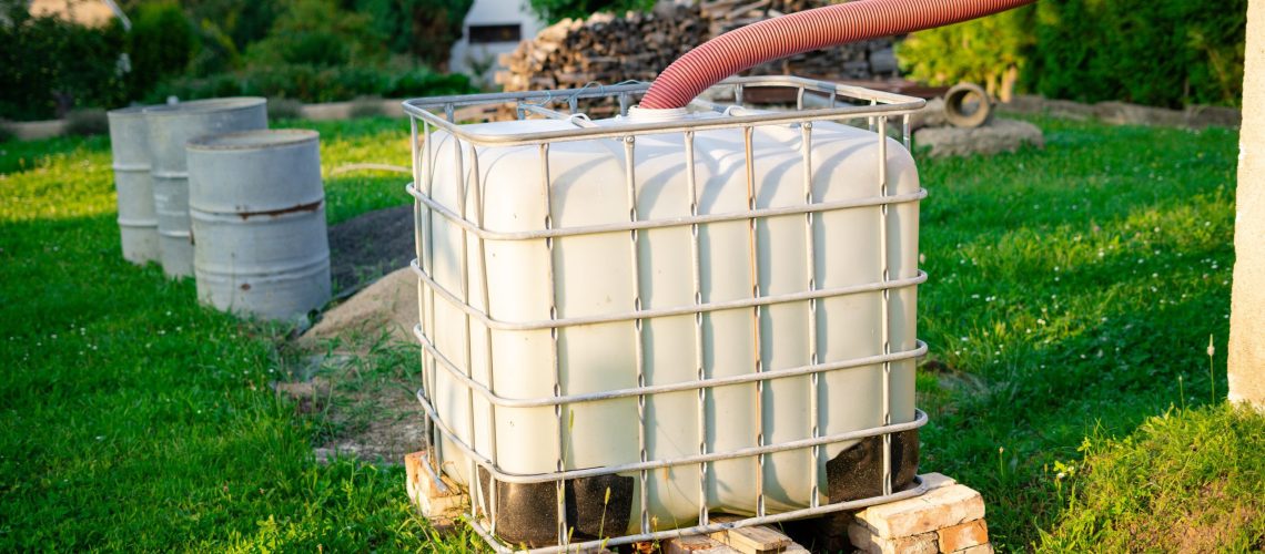 Device for collecting rainwater used for watering plants on orga