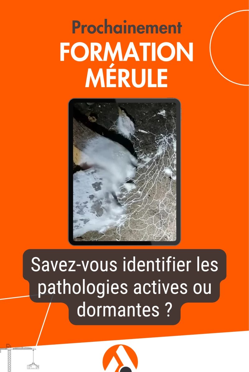 CAPEB FORMATION MERULE MaformationBatiment Photos suite 5