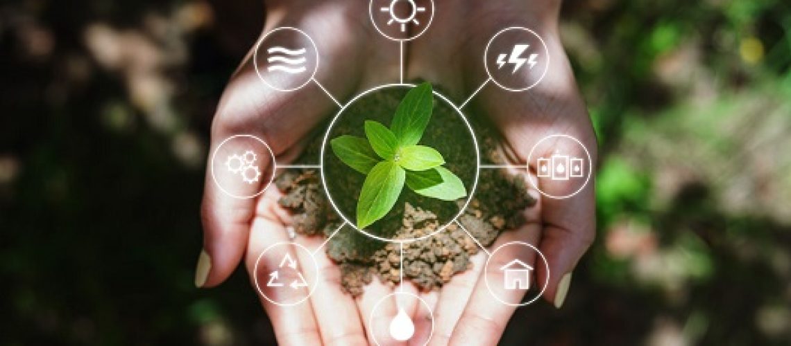 Les certificats d’économies d’énergie, un levier pour la rénovation énergétique ?