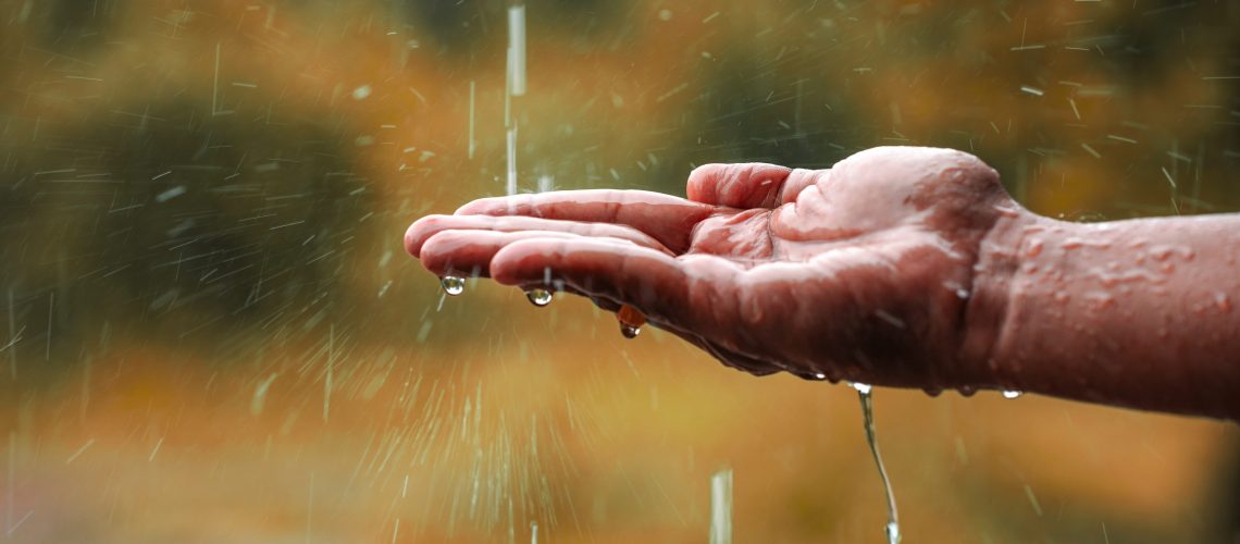 Récupération de l'eau de pluie à l'extérieur des logements grâce au label Qualipluie